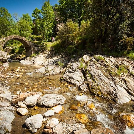 Transgardon B&B En Cevennes Saint-Privat-de-Vallongue Eksteriør bilde