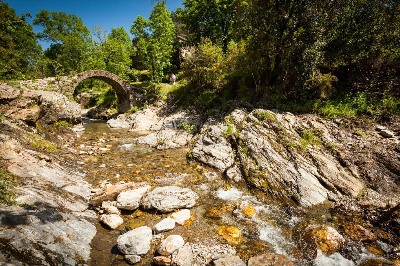 Transgardon B&B En Cevennes Saint-Privat-de-Vallongue Eksteriør bilde