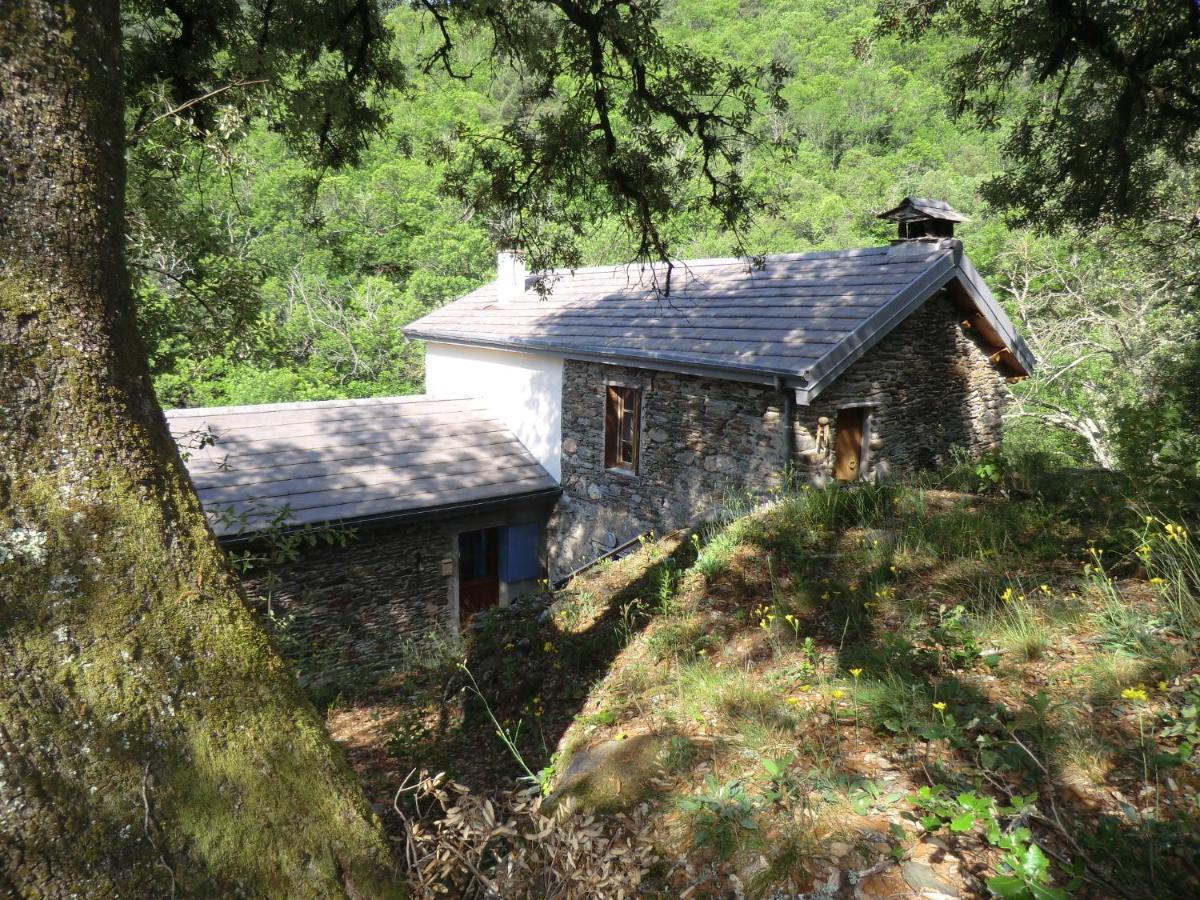 Transgardon B&B En Cevennes Saint-Privat-de-Vallongue Eksteriør bilde