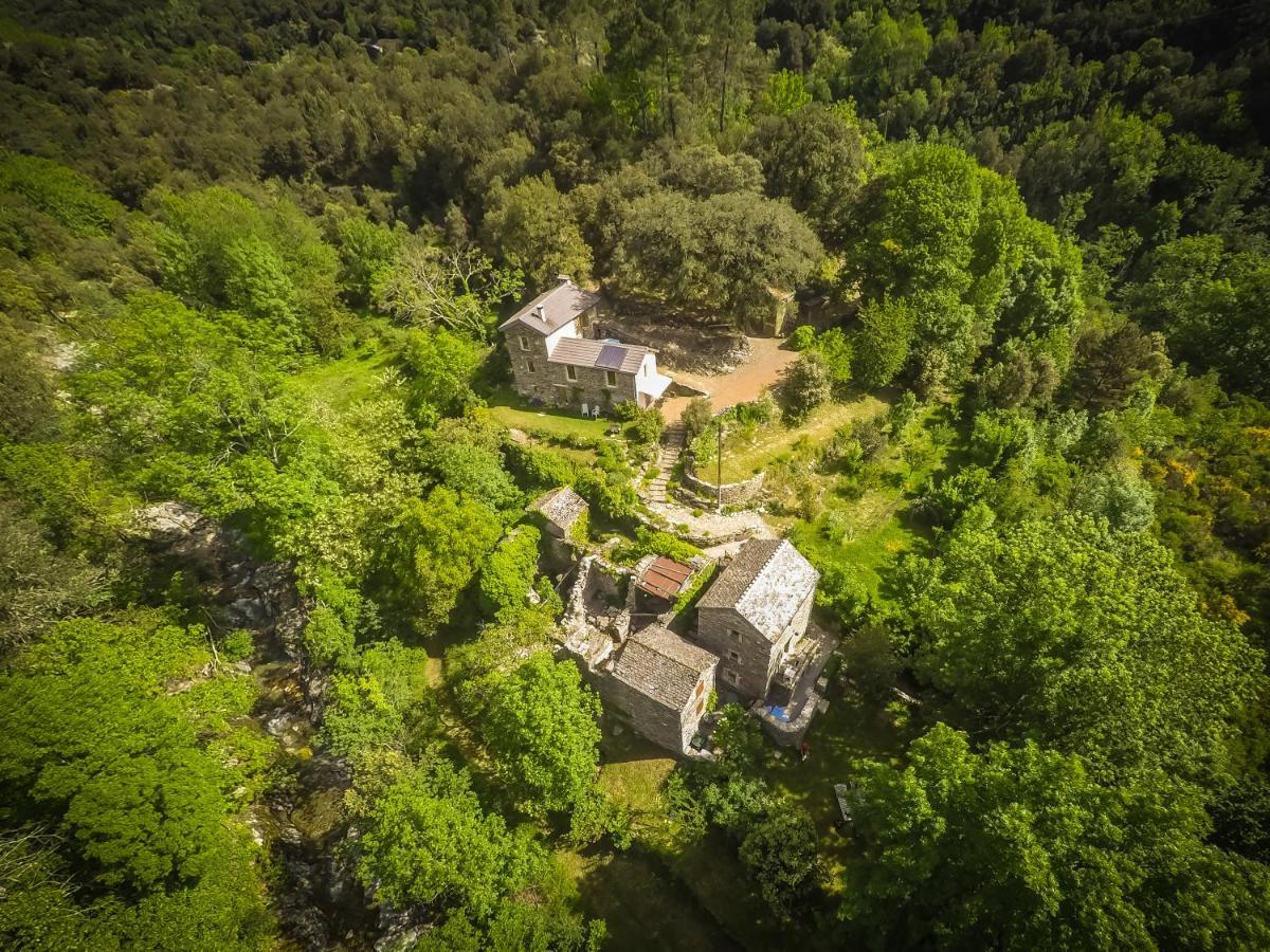 Transgardon B&B En Cevennes Saint-Privat-de-Vallongue Eksteriør bilde