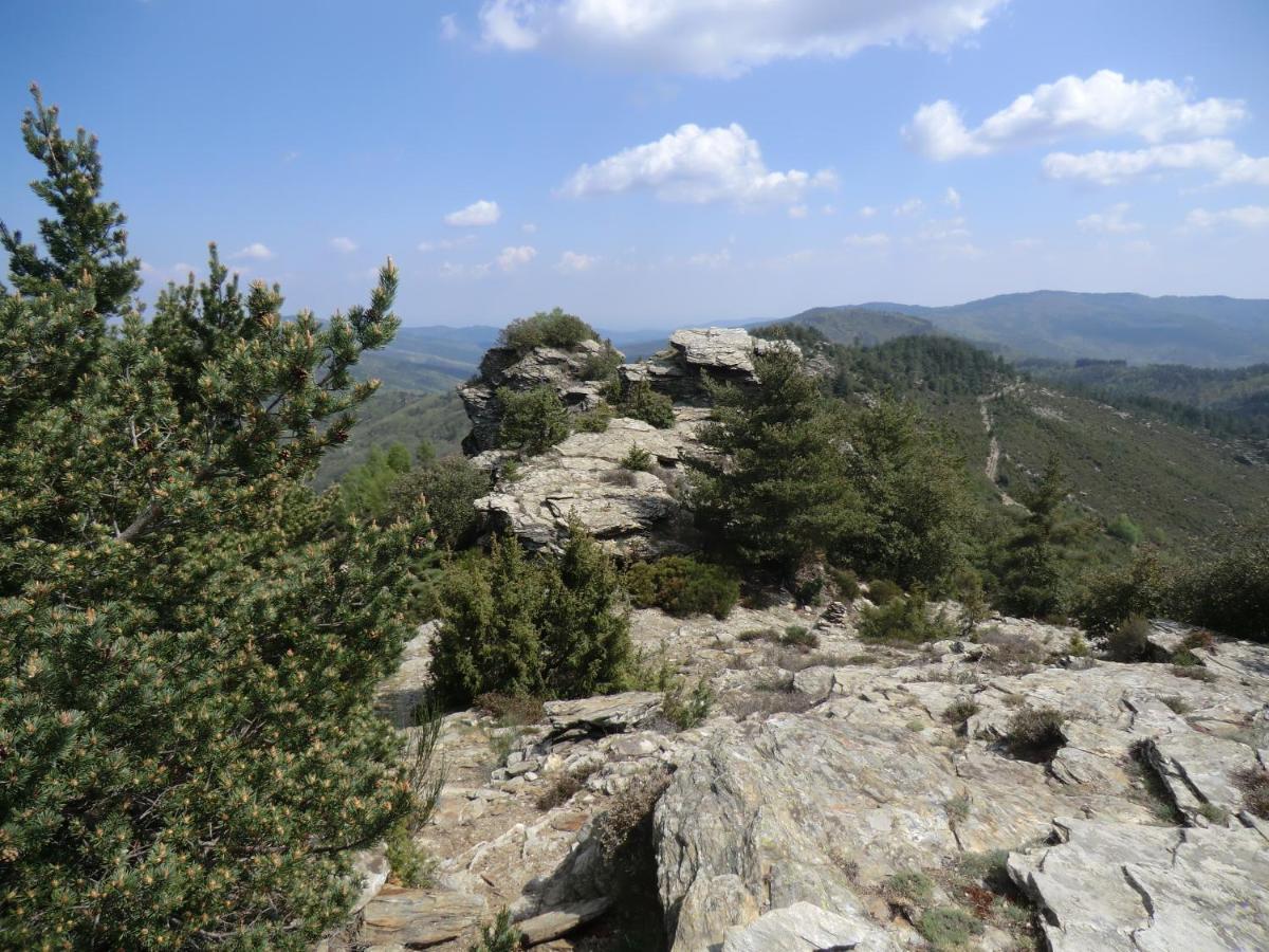 Transgardon B&B En Cevennes Saint-Privat-de-Vallongue Eksteriør bilde