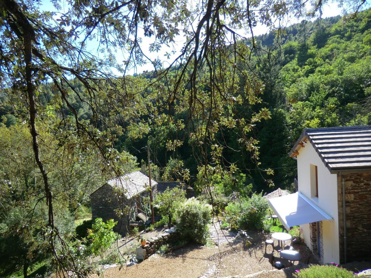 Transgardon B&B En Cevennes Saint-Privat-de-Vallongue Eksteriør bilde