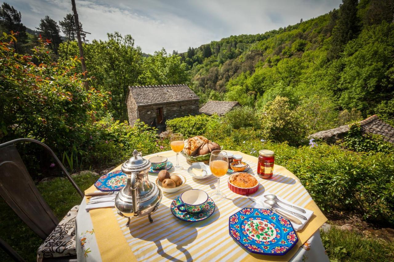 Transgardon B&B En Cevennes Saint-Privat-de-Vallongue Eksteriør bilde