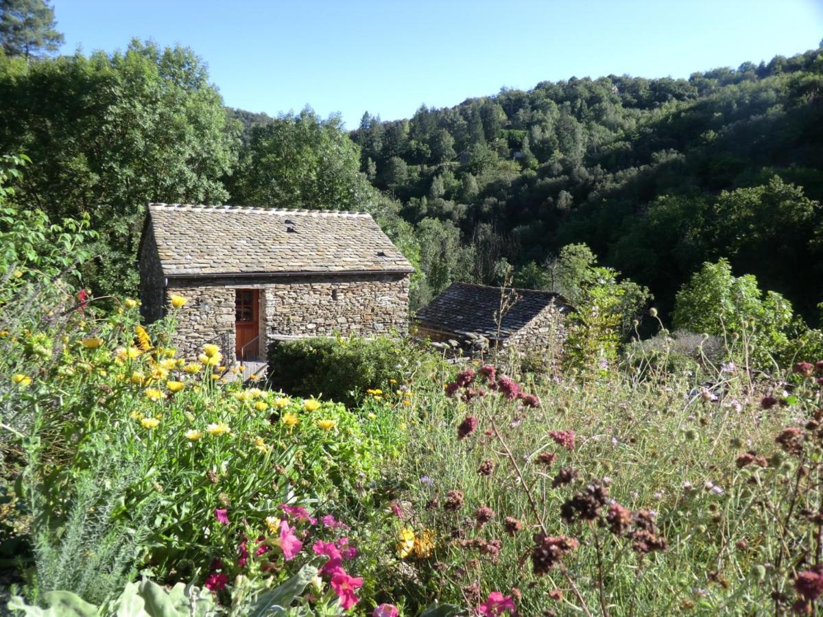 Transgardon B&B En Cevennes Saint-Privat-de-Vallongue Eksteriør bilde
